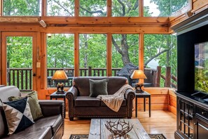 TV connectée, cheminée, jeux vidéo, lecteur de DVD