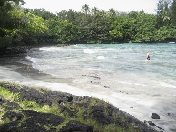 Beach nearby, sun-loungers, beach towels