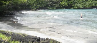 your own cottage, hear the ocean!