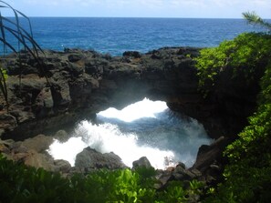 Plage à proximité, chaises longues, serviettes de plage