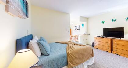 Studio with pool & billiards table - near downtown & beaches