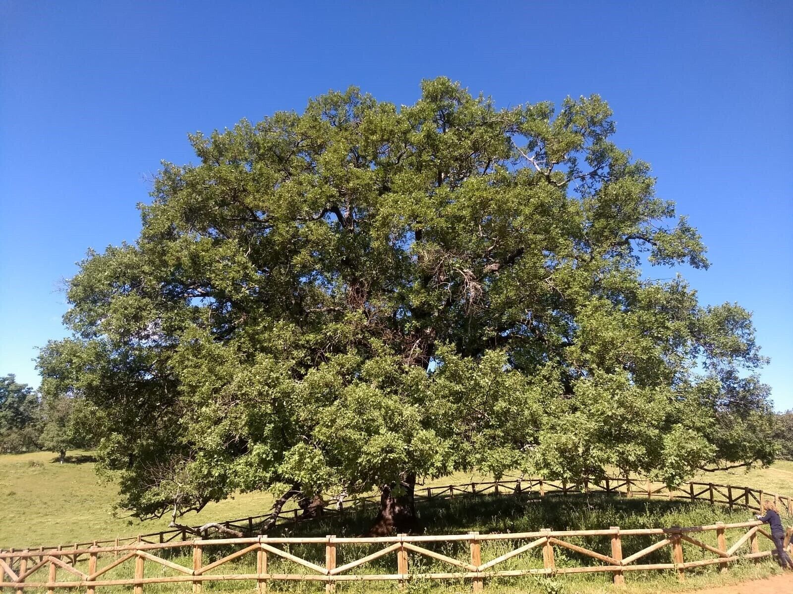 Foto - Hotel Villa de Berzocana