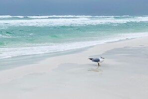 Plage à proximité, chaises longues