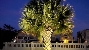 A palm tree illuminated at night, surrounded by a white fence, with a building in the background. - Newer Ocean View home w/Pool.....Walk to Ocean and Intercoastal (Oak Island)