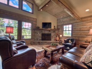 Televisión, chimenea, videojuegos y estéreo