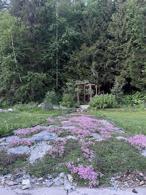 Property grounds - Creeky Cedars Suite Mountain Getaway - minutes from Golden (Golden)