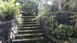 A stone staircase surrounded by lush greenery and a small pond. - Sweet Mermaid Studio at Manini Beach, Kealakekua Bay (Captain Cook)