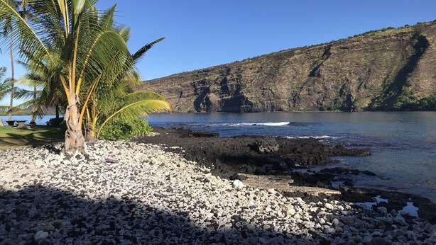 A rocky beach with a palm tree and a view of a cliff and water. - Sweet Mermaid Studio at Manini Beach, Kealakekua Bay (Captain Cook)