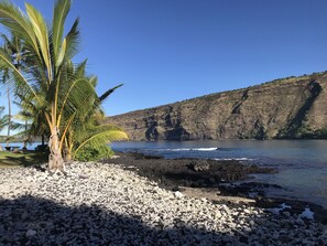 A rocky beach with a palm tree and a view of a cliff and water.