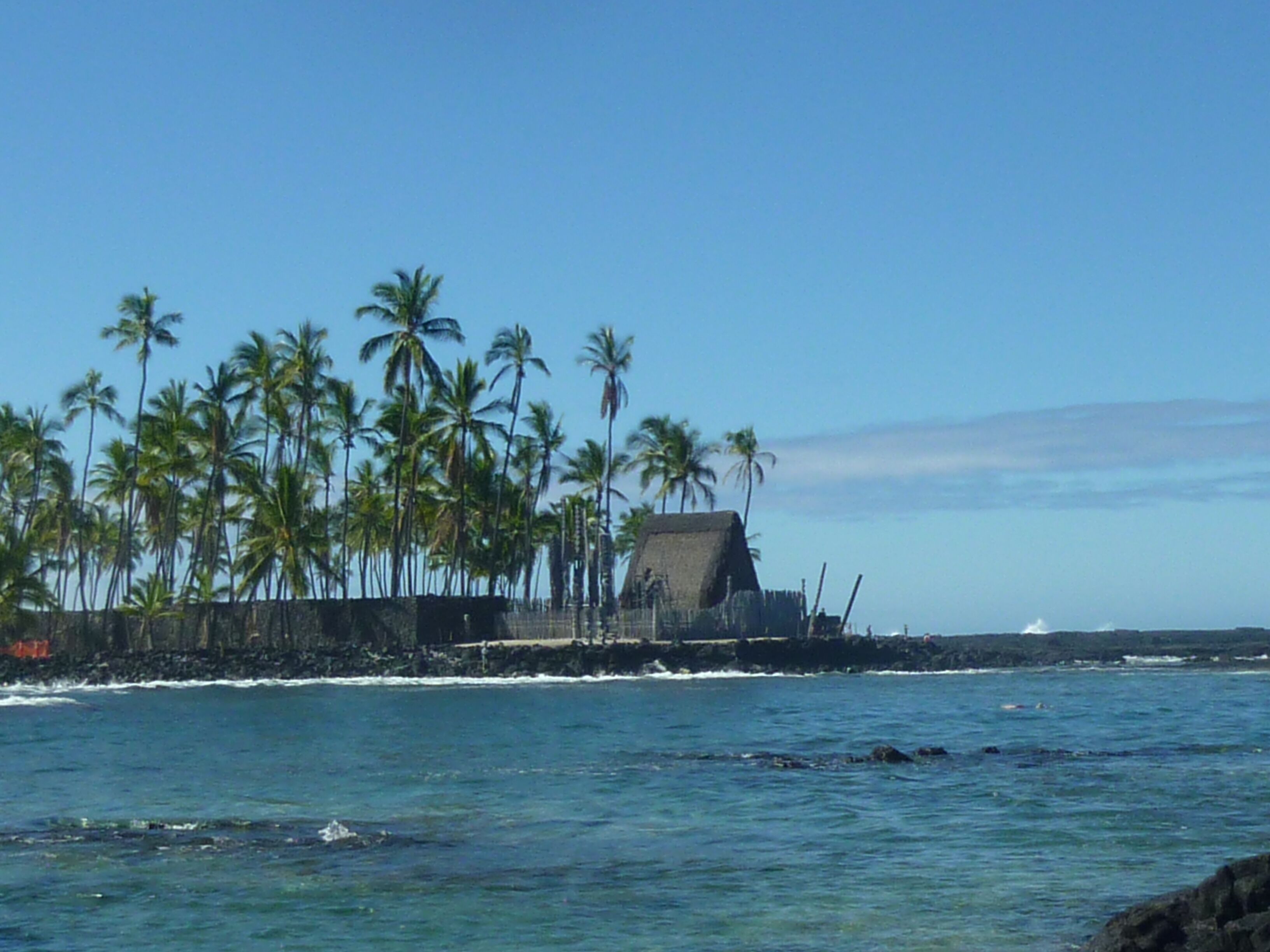 A coastal scene with a thatched-roof structure surrounded by palm trees.