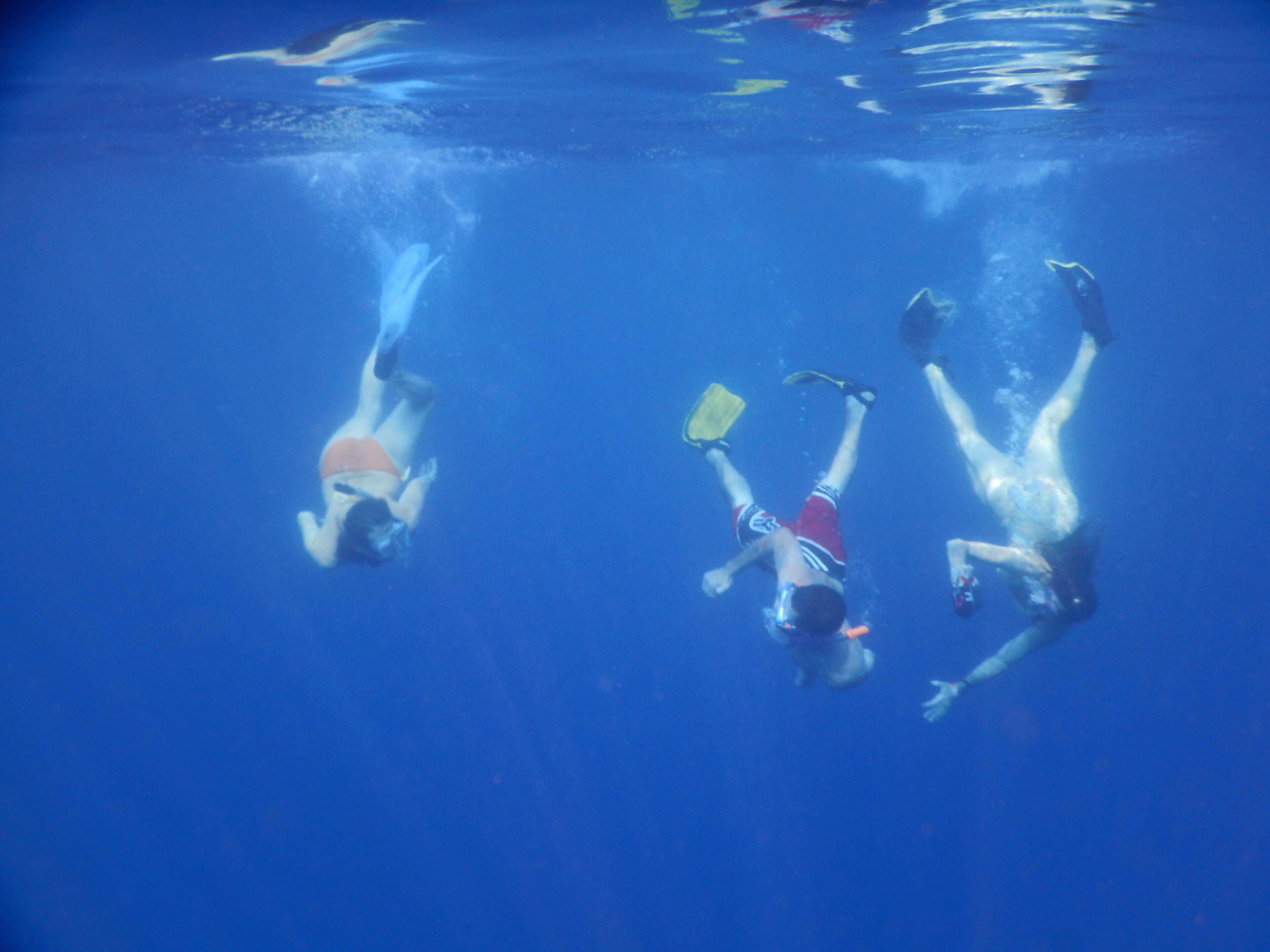 Three people swimming underwater.