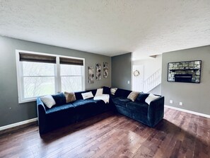 TV, fireplace, video games, DVD player