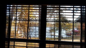 A window with a grid pattern, through which a park and a building are visible. - HIDEAWAY at HAWKINS!East TX LAKEFRONT Cabin in the Trees-Firepit-Private dock🐟 (Hawkins)