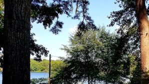 A lakeside pathway with trees and a dock extending into the water. - HIDEAWAY at HAWKINS!East TX LAKEFRONT Cabin in the Trees-Firepit-Private dock🐟 (Hawkins)
