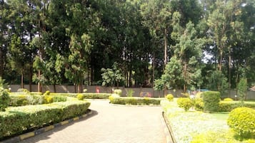 Jardin