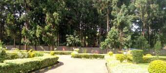 Forest Breeze Gardens