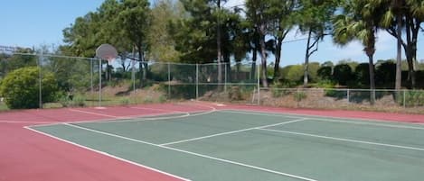 An outdoor tennis court with a basketball hoop, surrounded by trees and a fence.