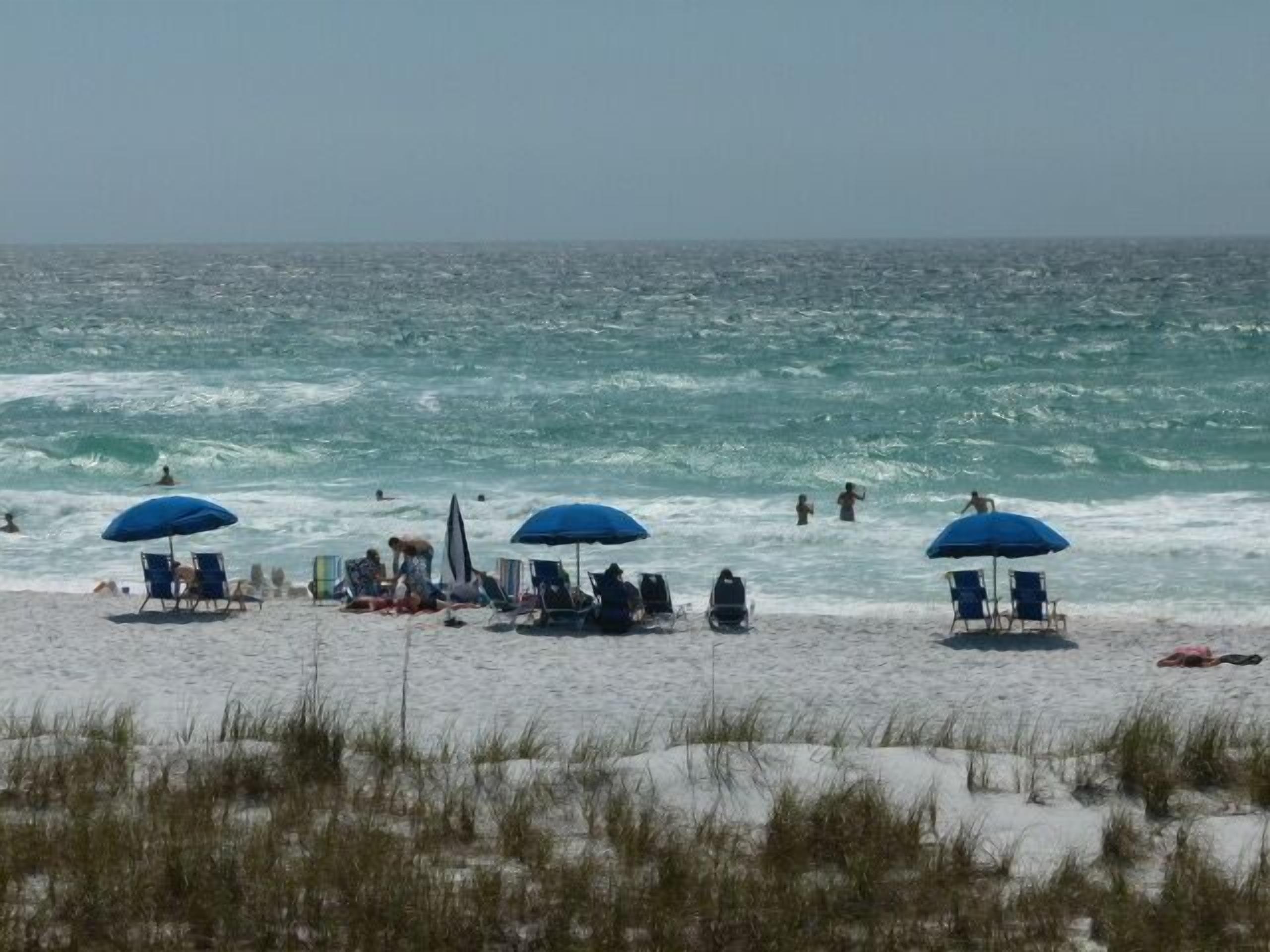 A beach with several blue umbrellas and beach chairs.