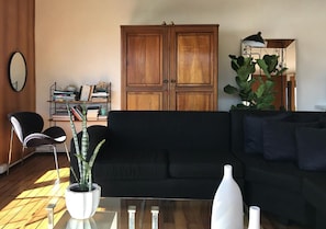 TV, books