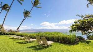 A grassy area with outdoor seating and palm trees, overlooking a body of water.