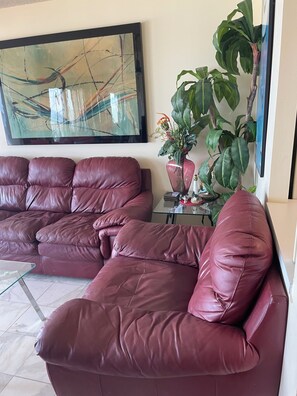 تلفزيون ذكي، مشغل دي في دي