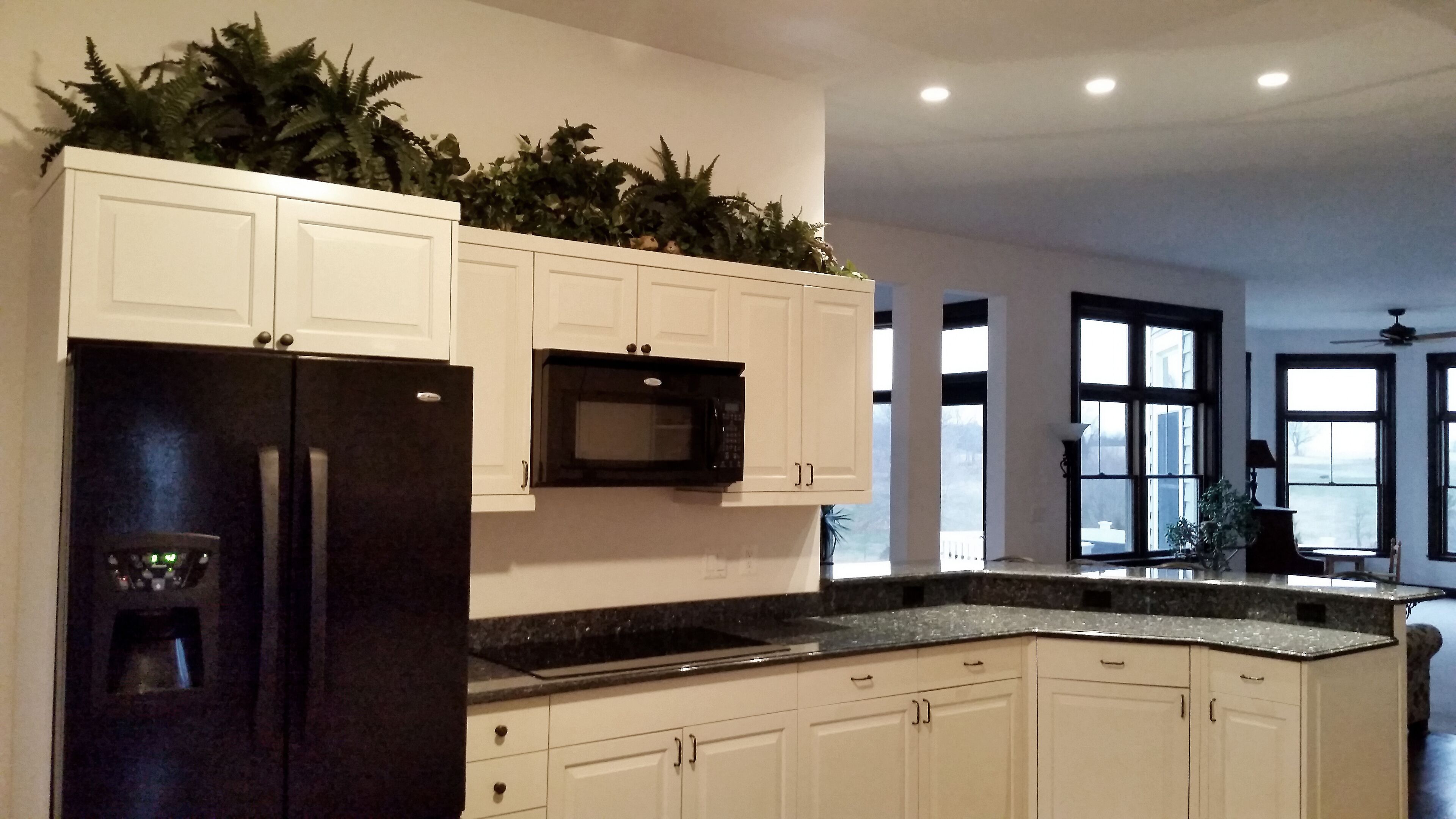 Skyline Meadow: Luxury Modern Victorian, 26 Acres, Views, Nature 360 ° Open 6/2018