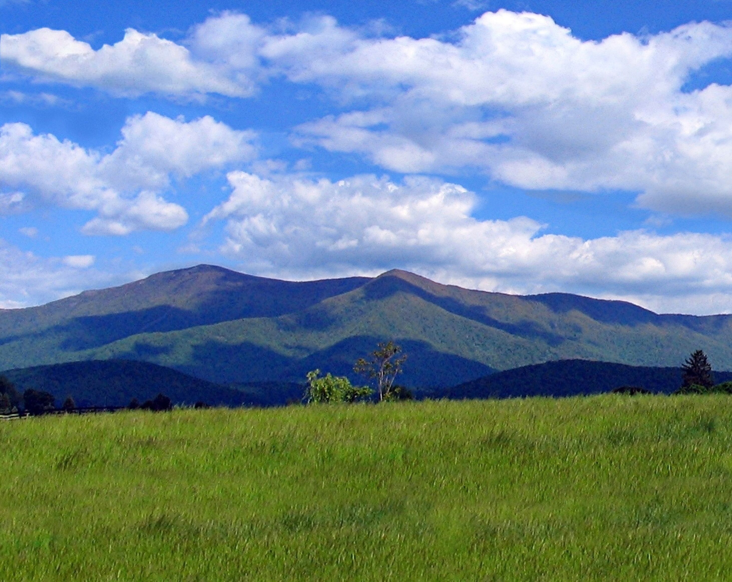 A mountainous landscape with a clear sky and a grassy foreground.
