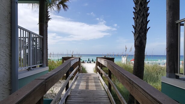Een houten looppad dat naar een strand leidt, met palmbomen en een heldere lucht.