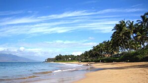 A beach with clear skies, palm trees, and a calm sea. - Wailea Ekahi 14F - Best Views -  3 Minutes Walk to Beach (Wailea-Makena)