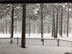 A snow-covered forest with a metal fence and a bench.