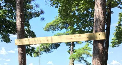 Leaning Pine: A Quiet Lakefront Cottage