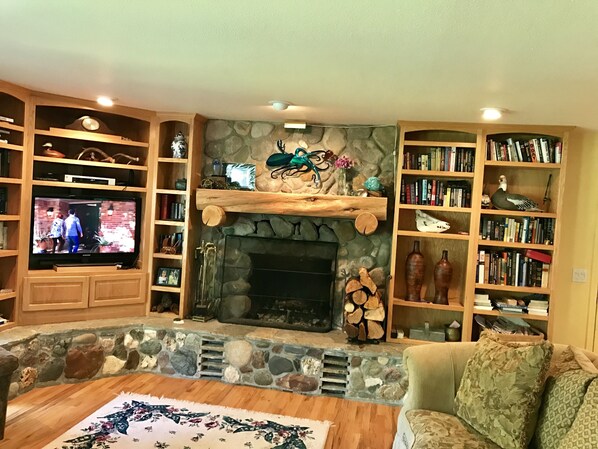 Televisión, chimenea, reproductor de DVD y libros 