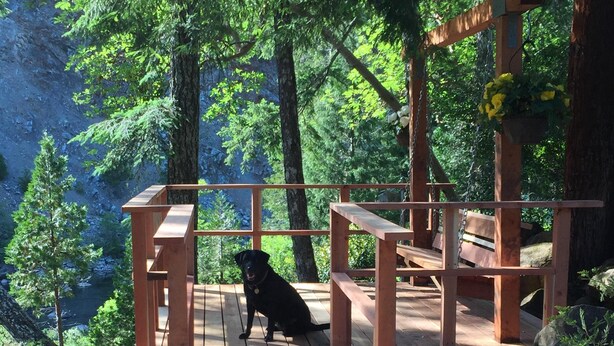 Una terraza de madera con un perro, rodeada de árboles y rocas.