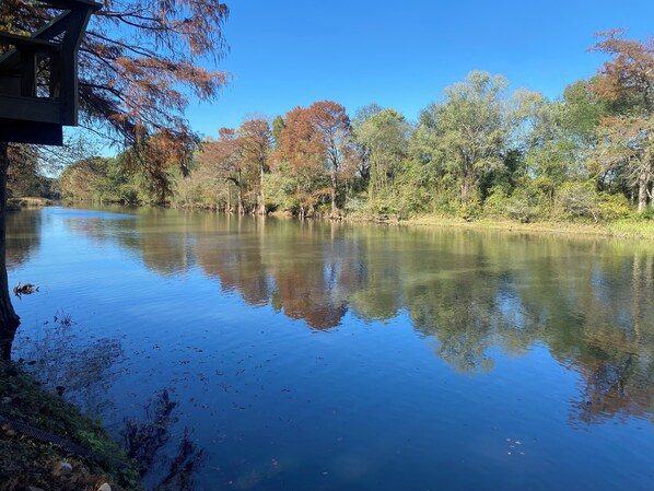 Un lac paisible où se reflètent les arbres, avec une structure en bois.
