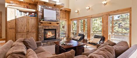 Smart TV, caminetto, lettore DVD, libri