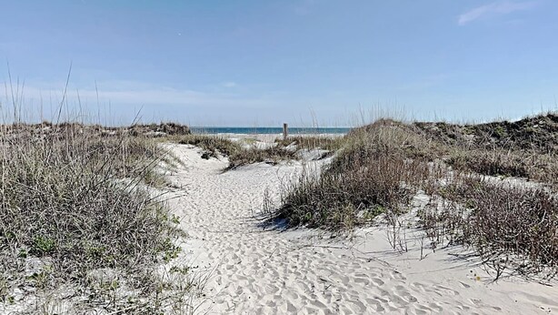 Een zandpad langs het strand dat naar de oceaan leidt, met weinig beplanting.