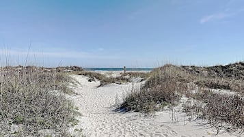 On the beach