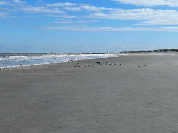Ein weiter, sandiger Strand mit blauem Himmel und ruhiger See.
