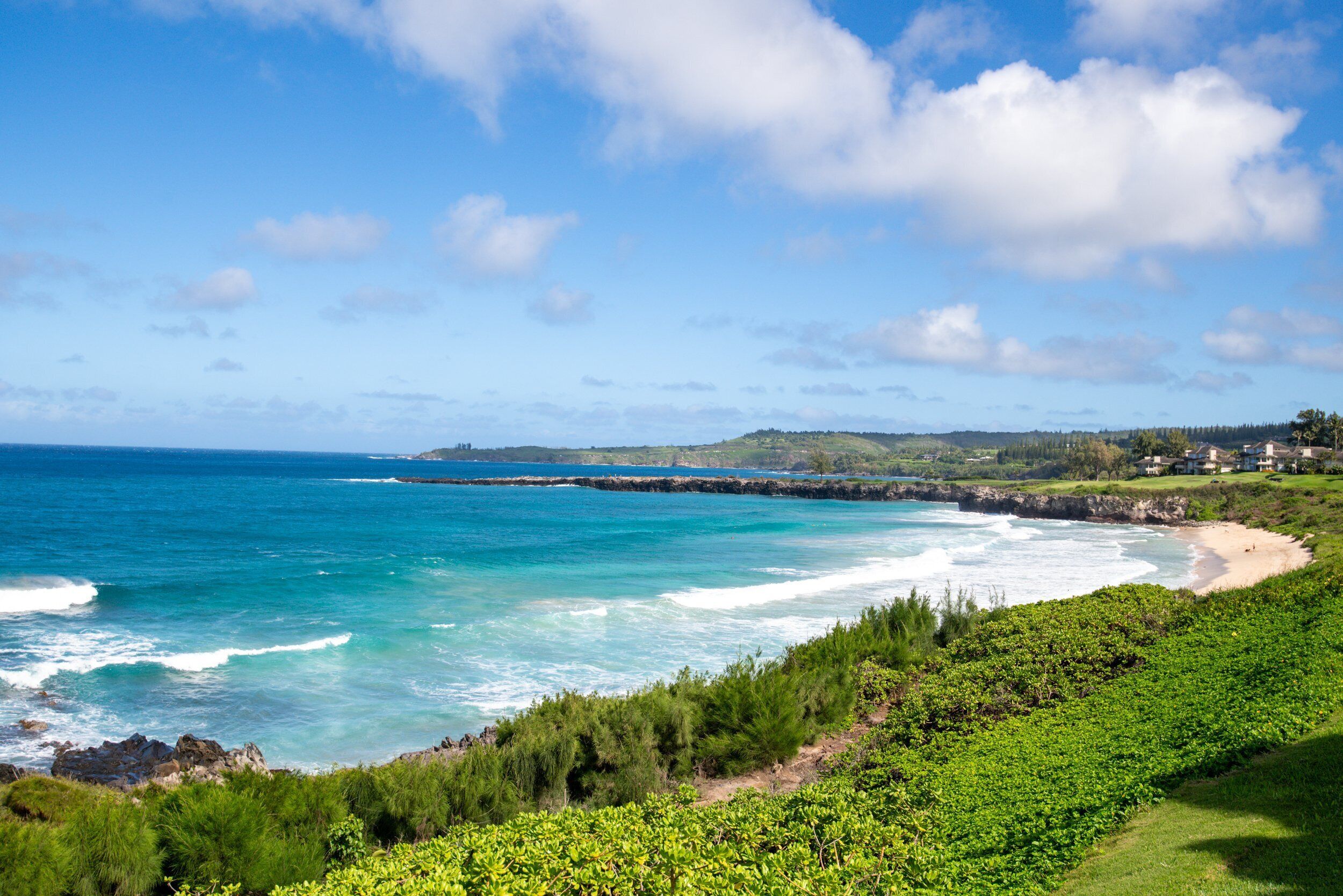 Eine Küstenlandschaft mit Strand, Meer und viel Grün.