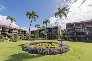 A hotel courtyard with palm trees, a flower bed, and a golf course.