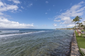 A coastal view with clear skies, waves, and a grassy area with palm trees and a sign.