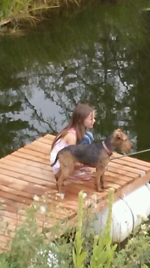 Animaux de compagnie acceptés