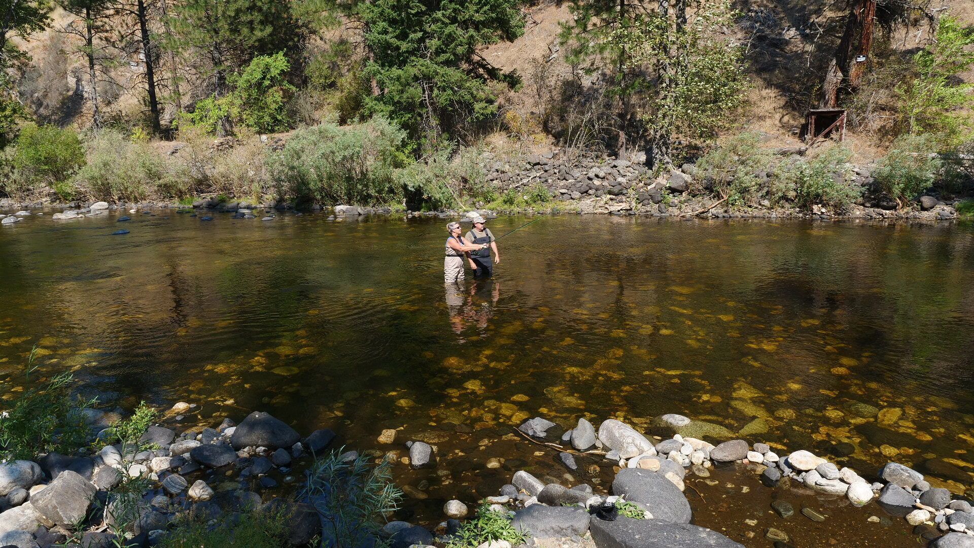 Une rivière aux eaux claires, avec des rochers et des arbres en arrière-plan.