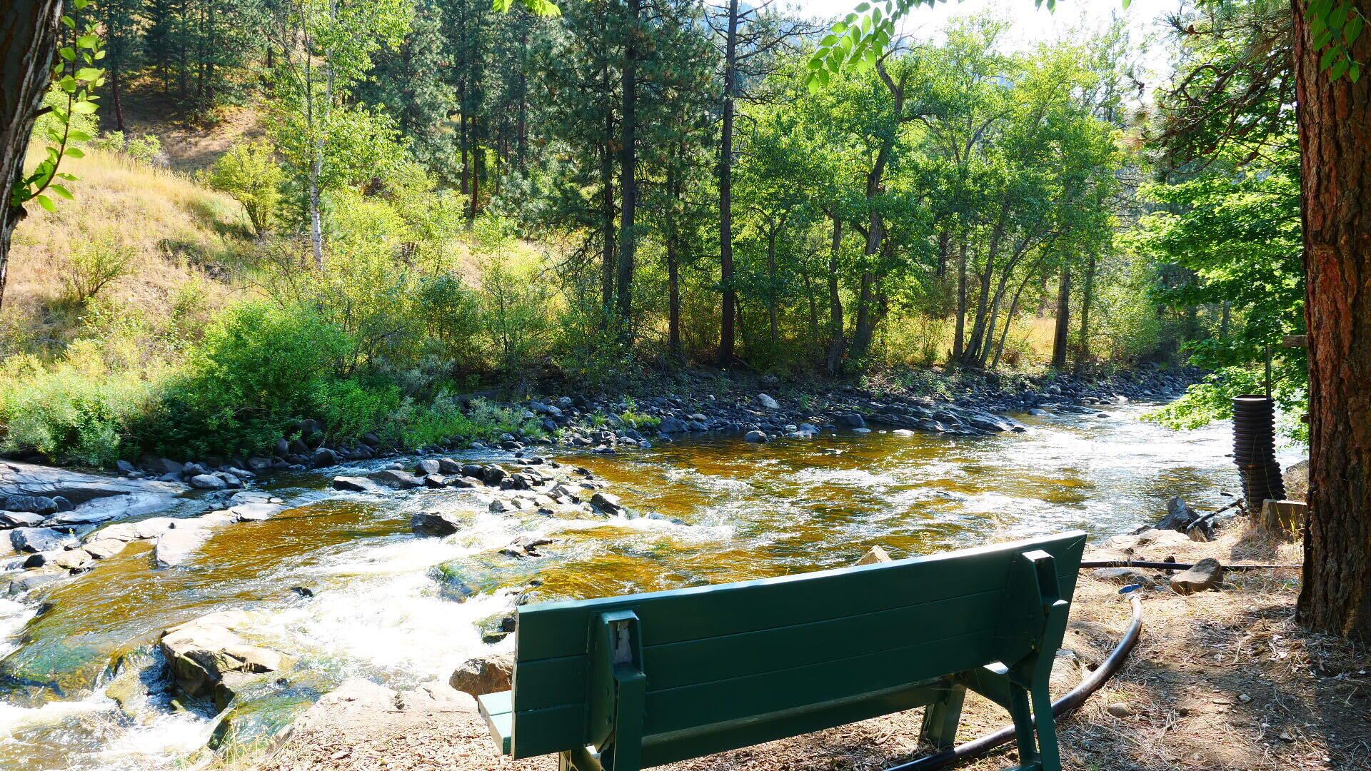 Un banc au bord d’une rivière où l’eau coule, dans une zone boisée.