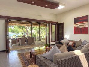 Smart TV, DVD player, books, video library