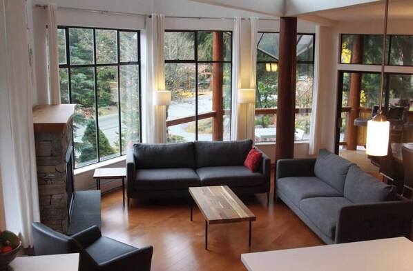 Smart TV, fireplace, ping pong, books