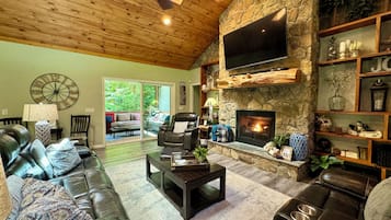 TV connectée, cheminée, lecteur de DVD, livres