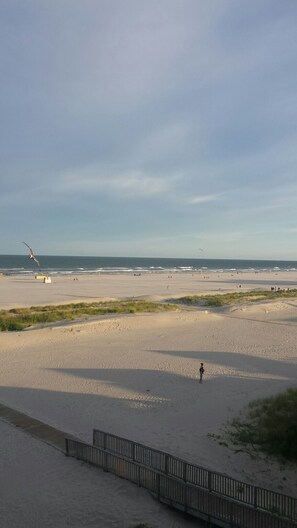 On the beach