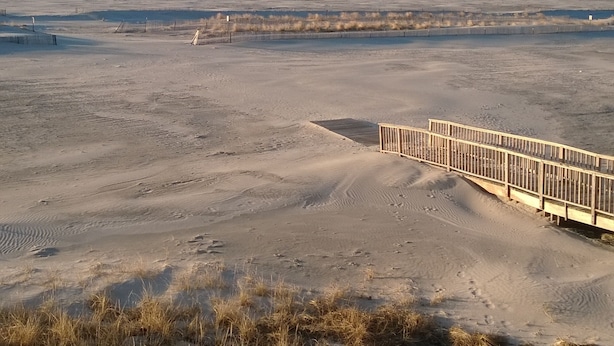 Una playa con un paseo marítimo de madera que lleva al agua, dunas arenosas y un cielo despejado.