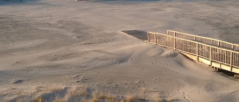 On the beach